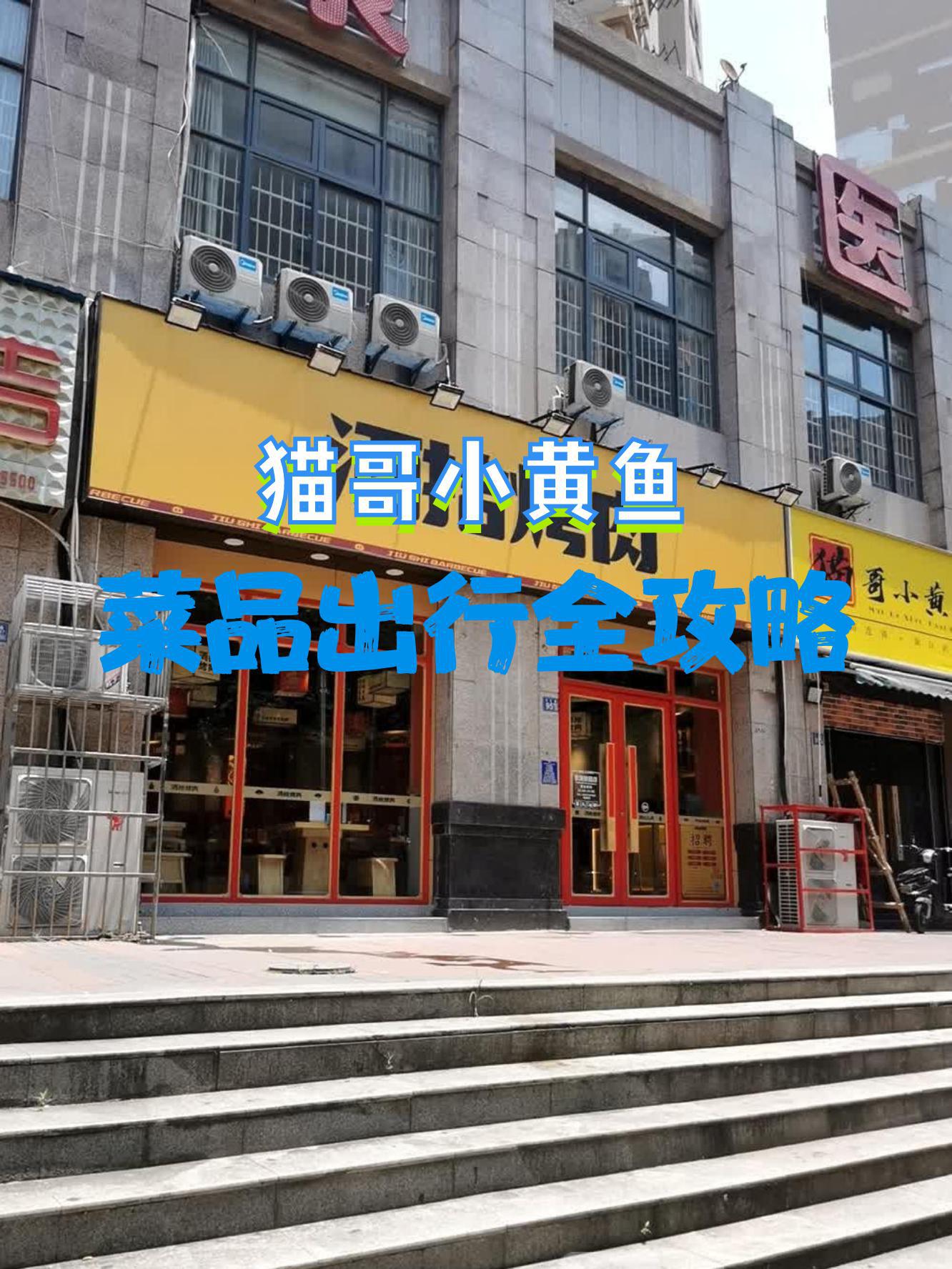 猫店长小黄鱼图片