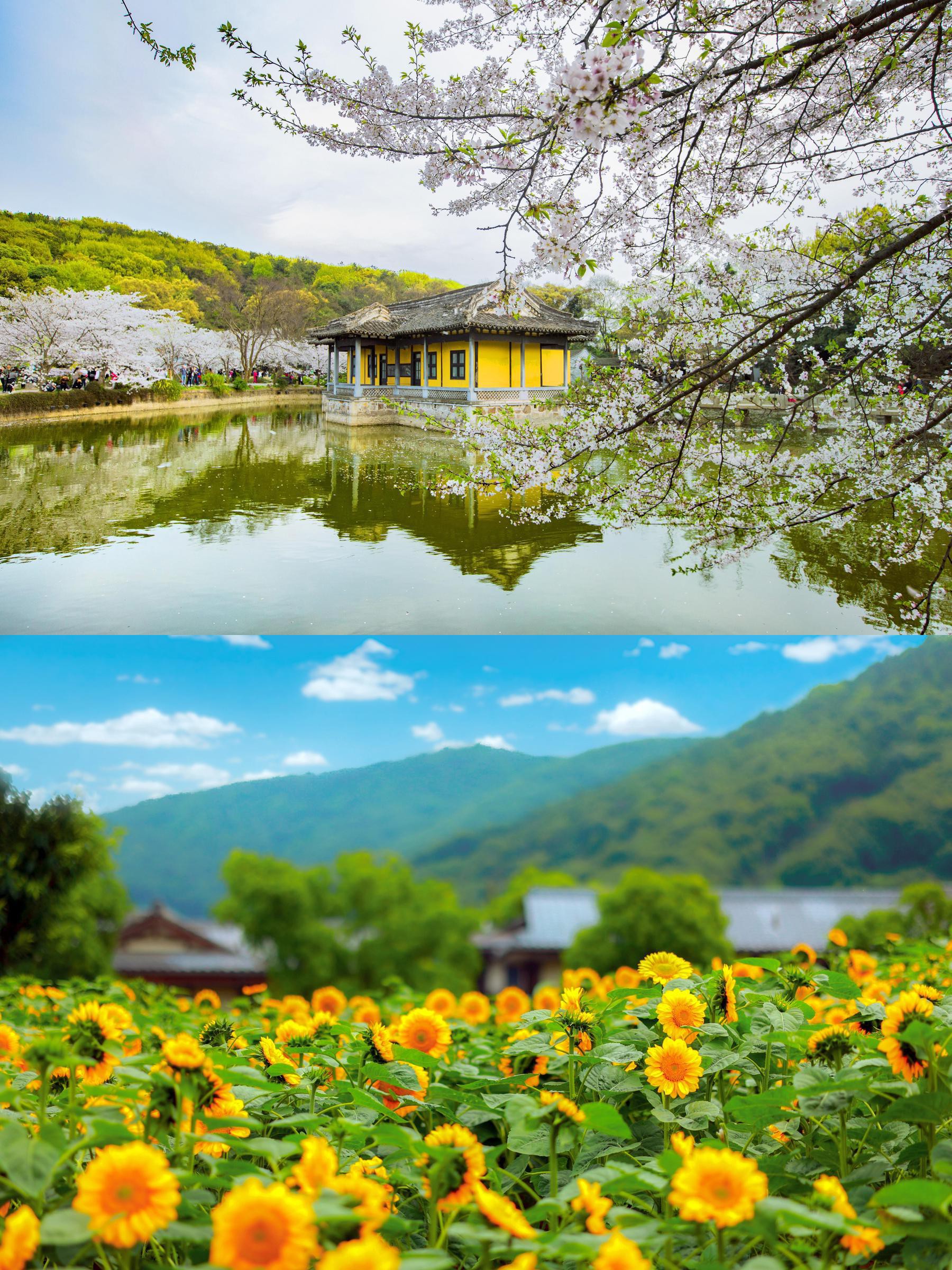 无锡鼋头渚风景区简介图片