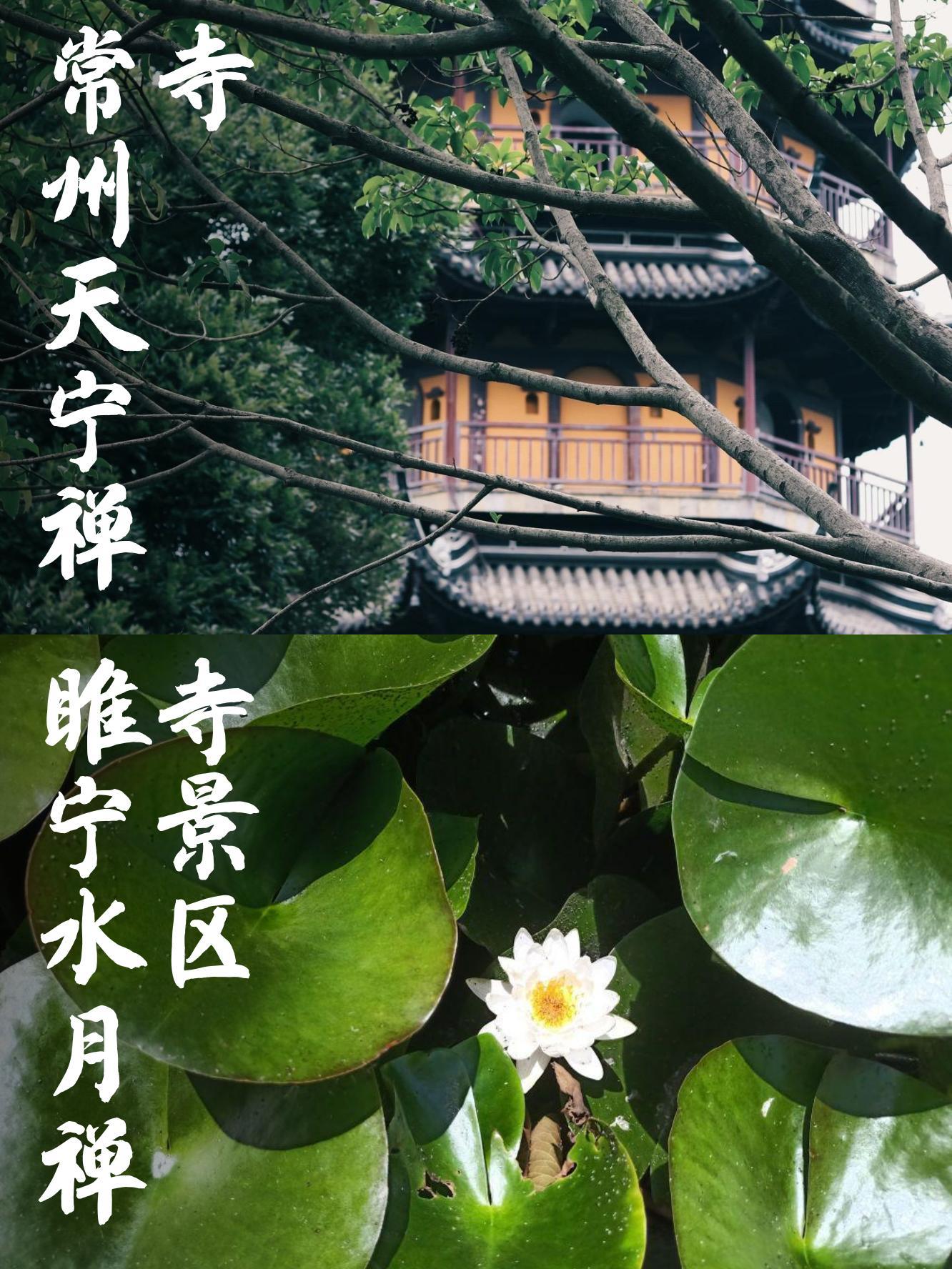 睢宁水月禅寺景区介绍图片