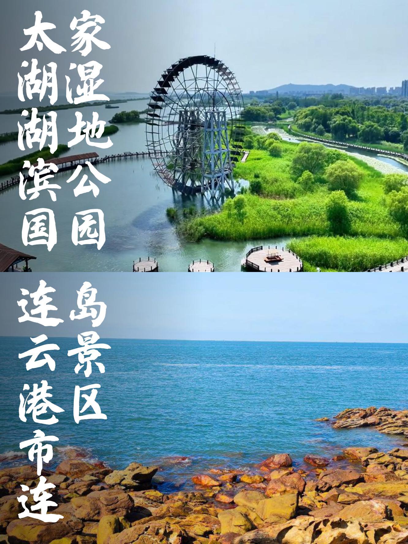 滨湖湿地公园电话图片