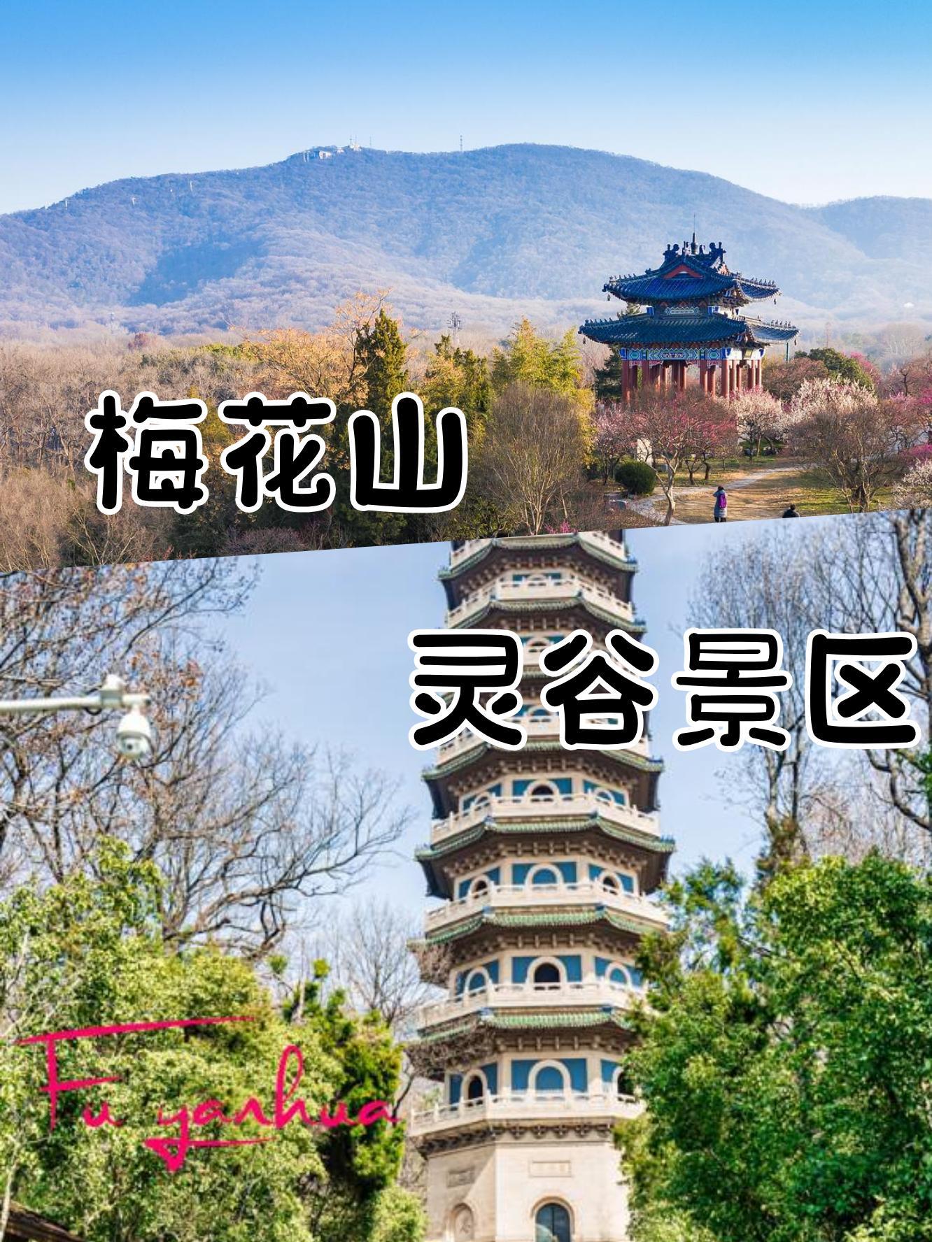 花山公园梅花谷图片