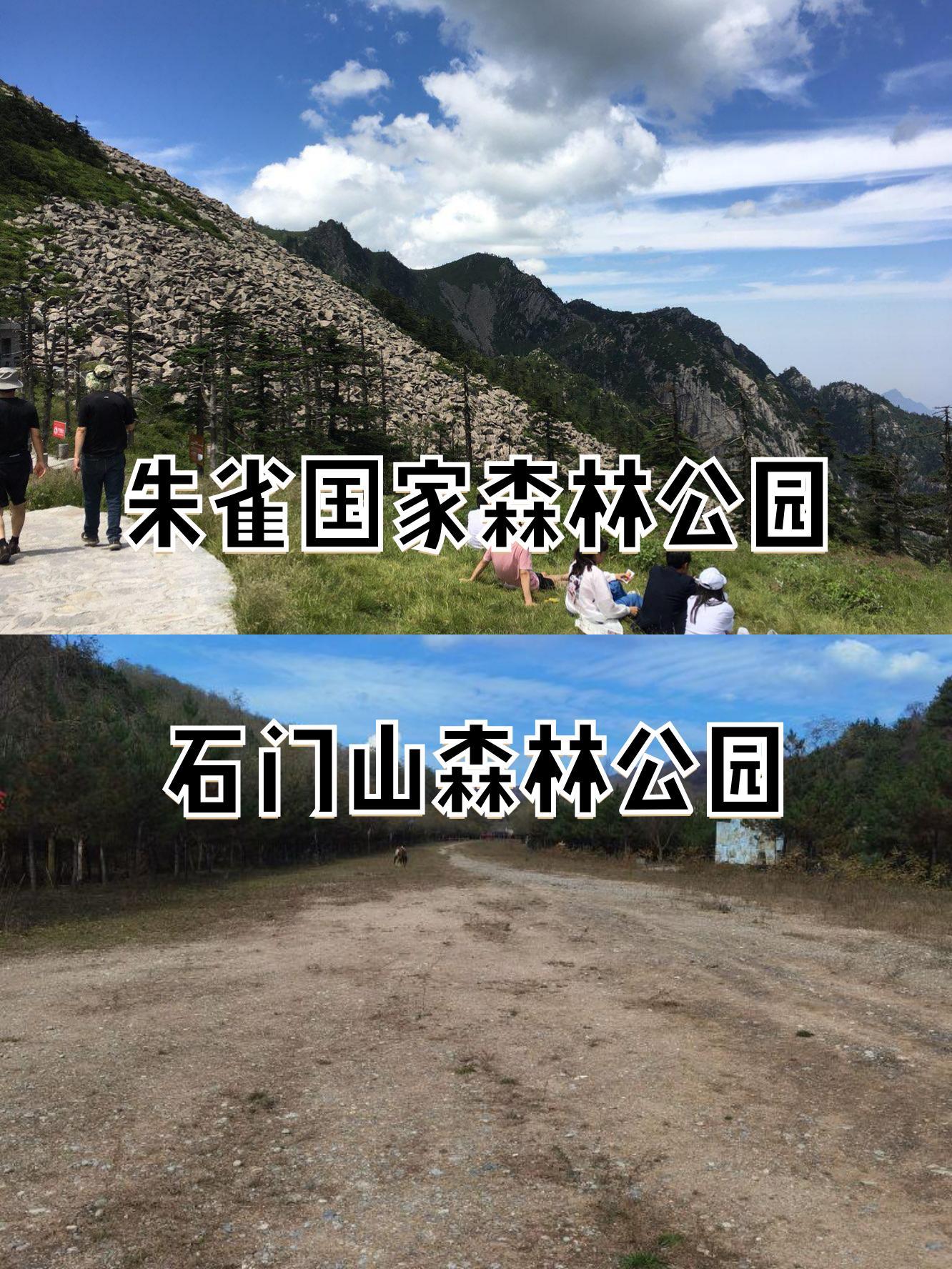 朱雀森林公园地图图片