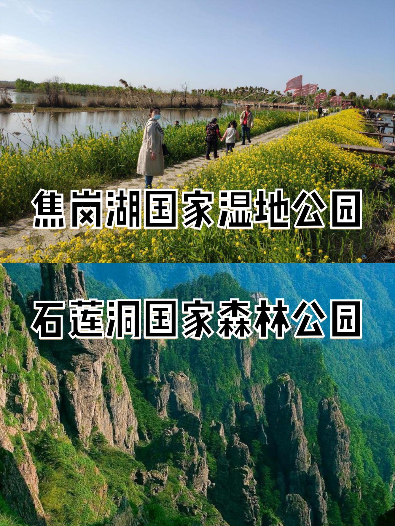 焦岗湖风景区简介图片