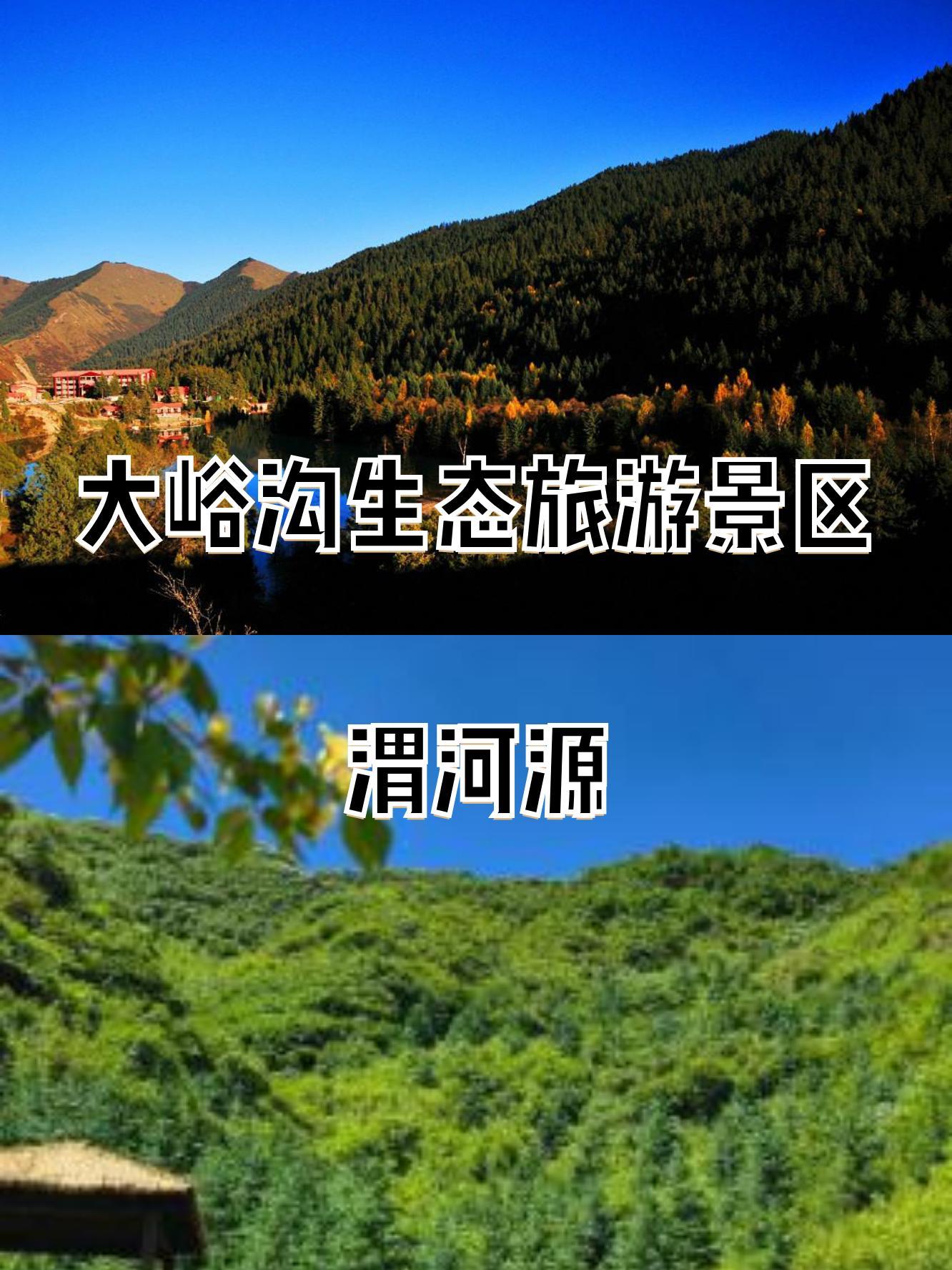 卓尼大峪沟景区电话图片