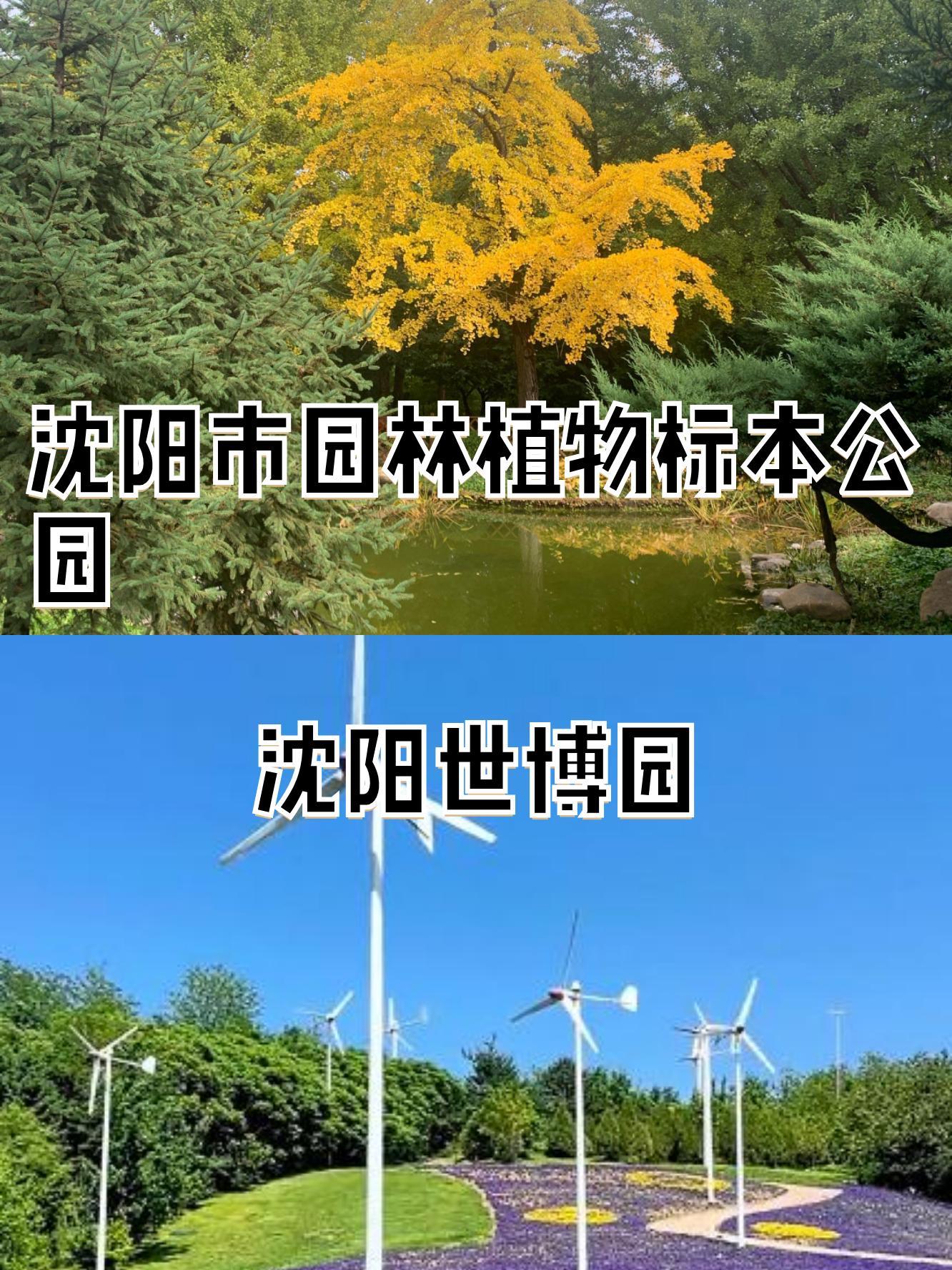 沈阳世博园地址图片