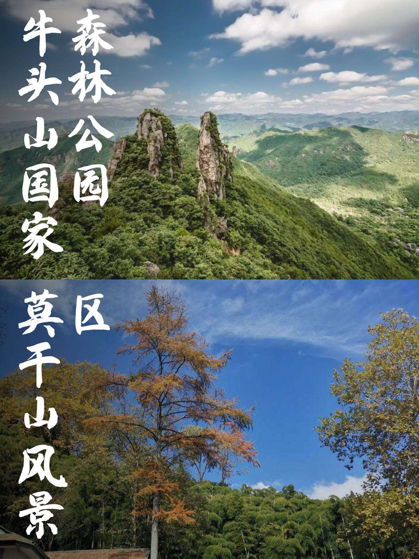 牛头山景点介绍图片