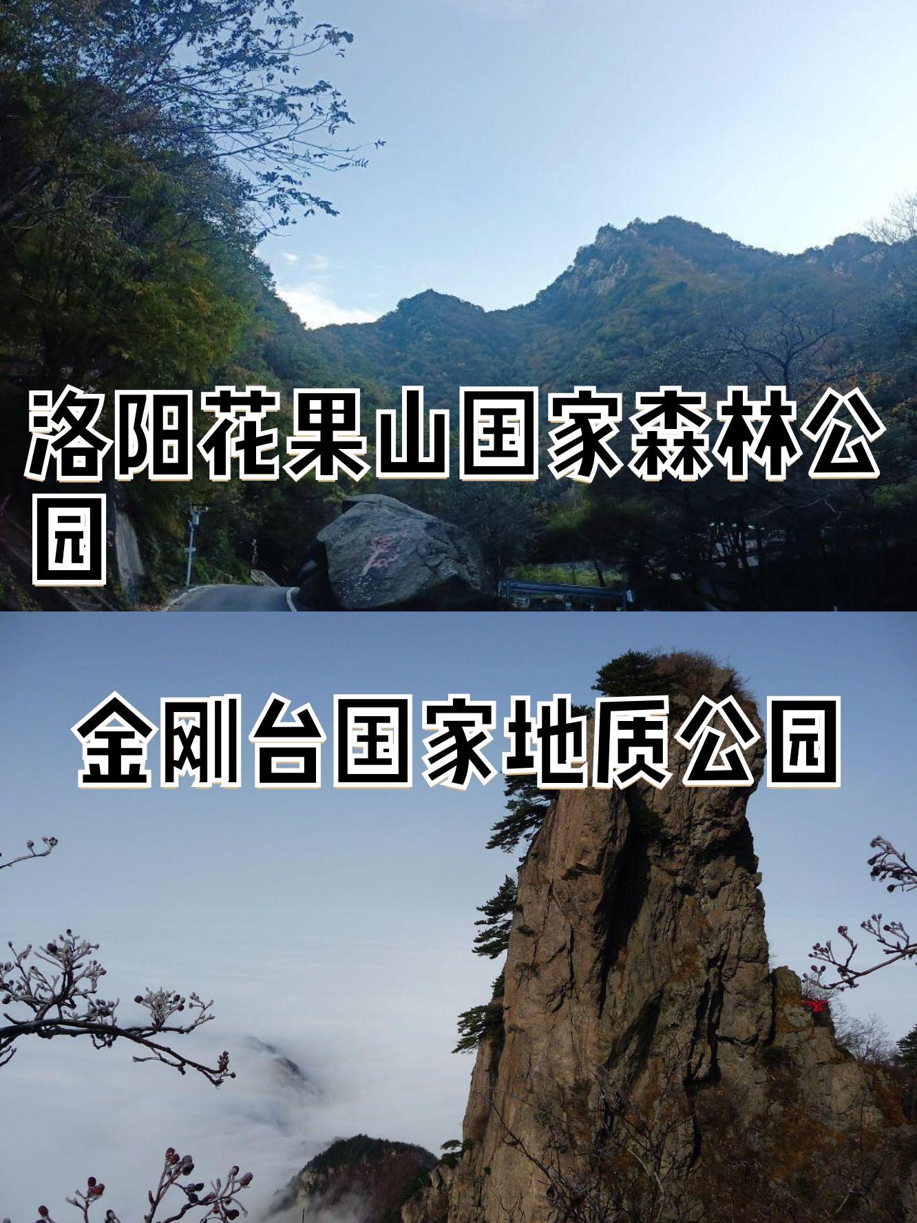 孩儿们好生看管花果山图片