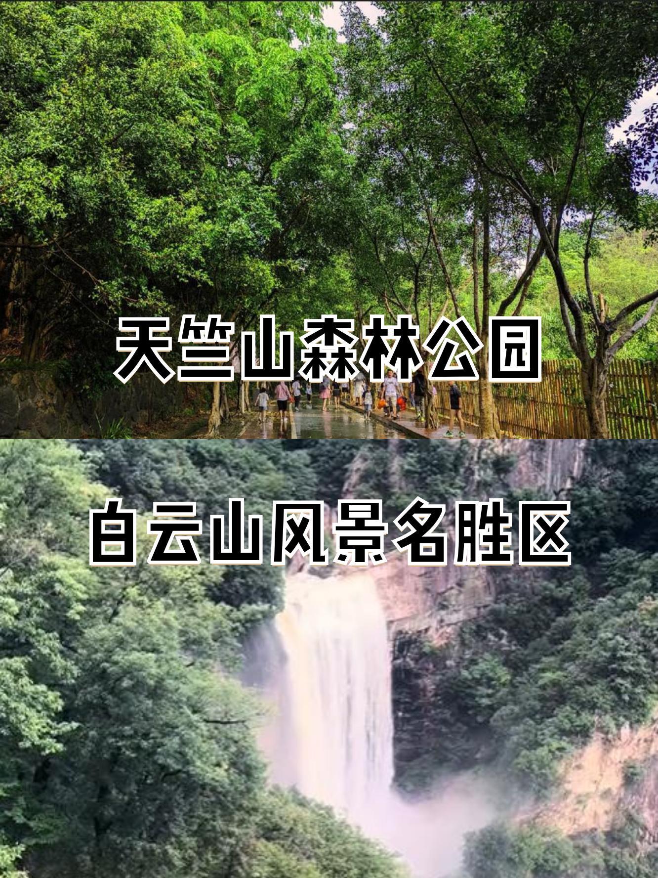 天竺山森林公园门票图片