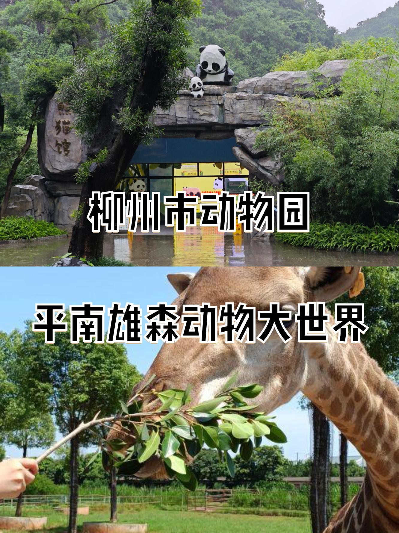 平南雄森动物园平面图图片