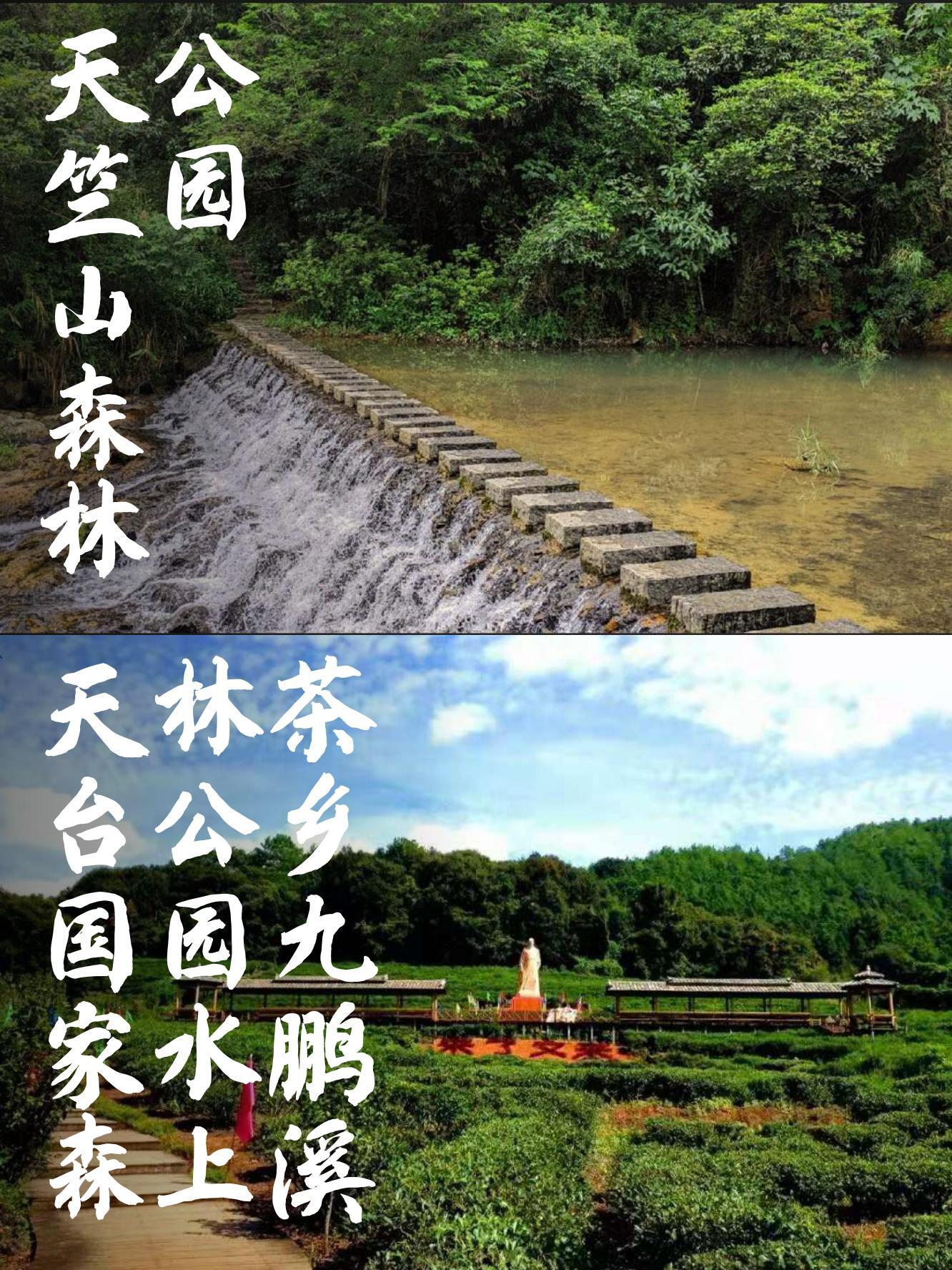 天竺山森林公园门票图片