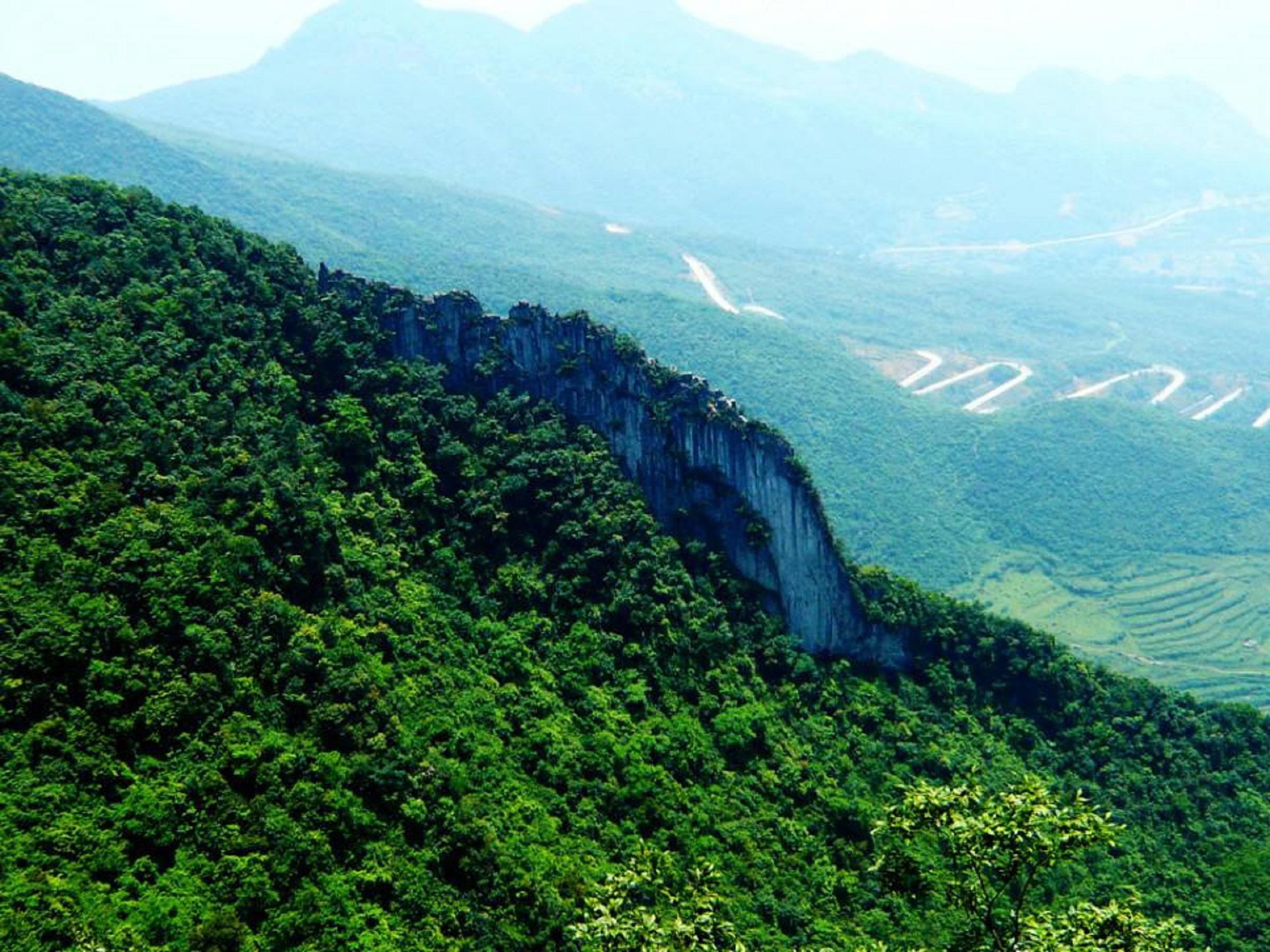 周公山国家森林公园和华蓥山旅游区,哪个更值得去?