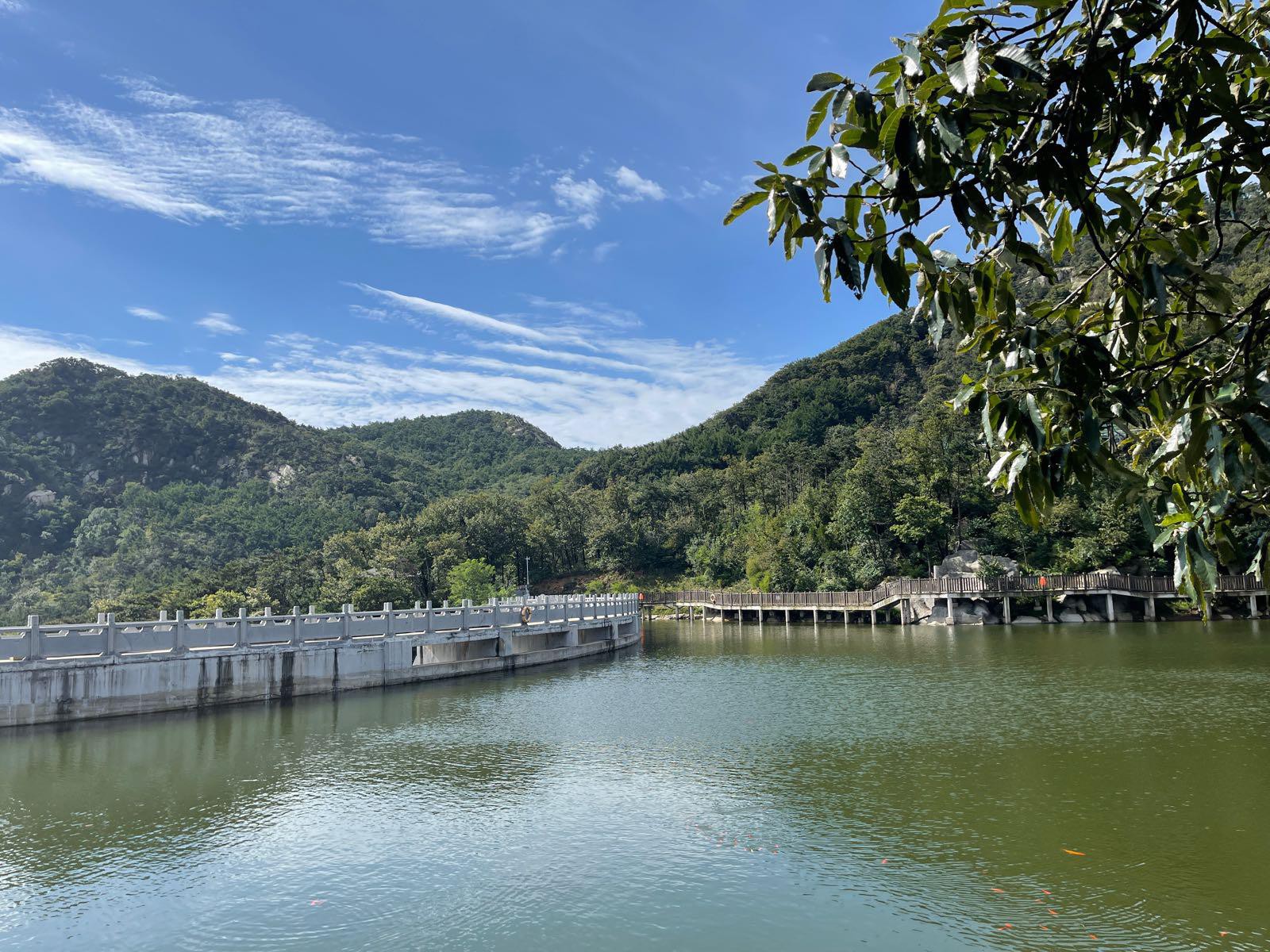 99 沂蒙山旅游区云蒙景区 沂蒙山旅游区云蒙景区是天然氧吧中的