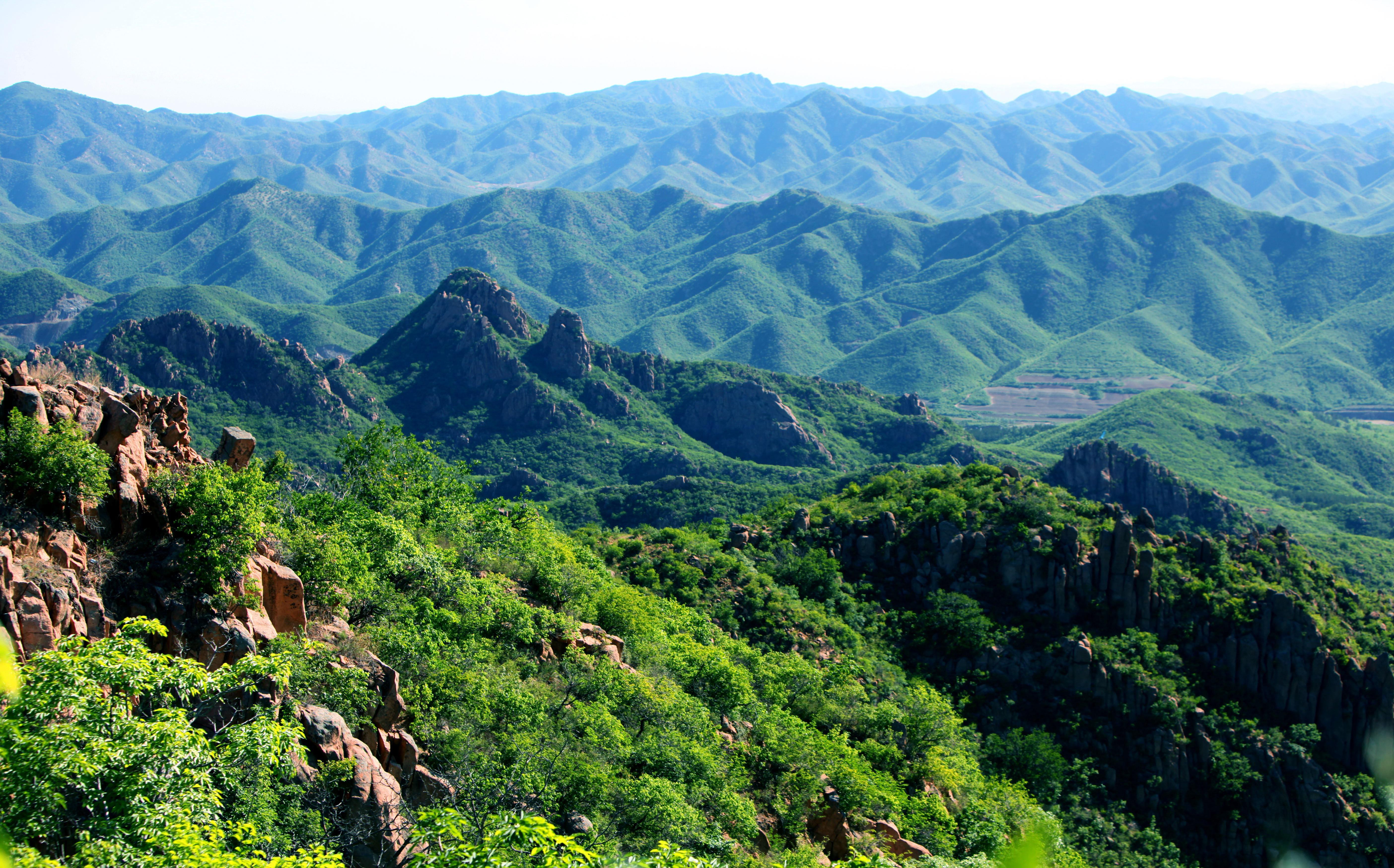 北票大黑山森林公园图片