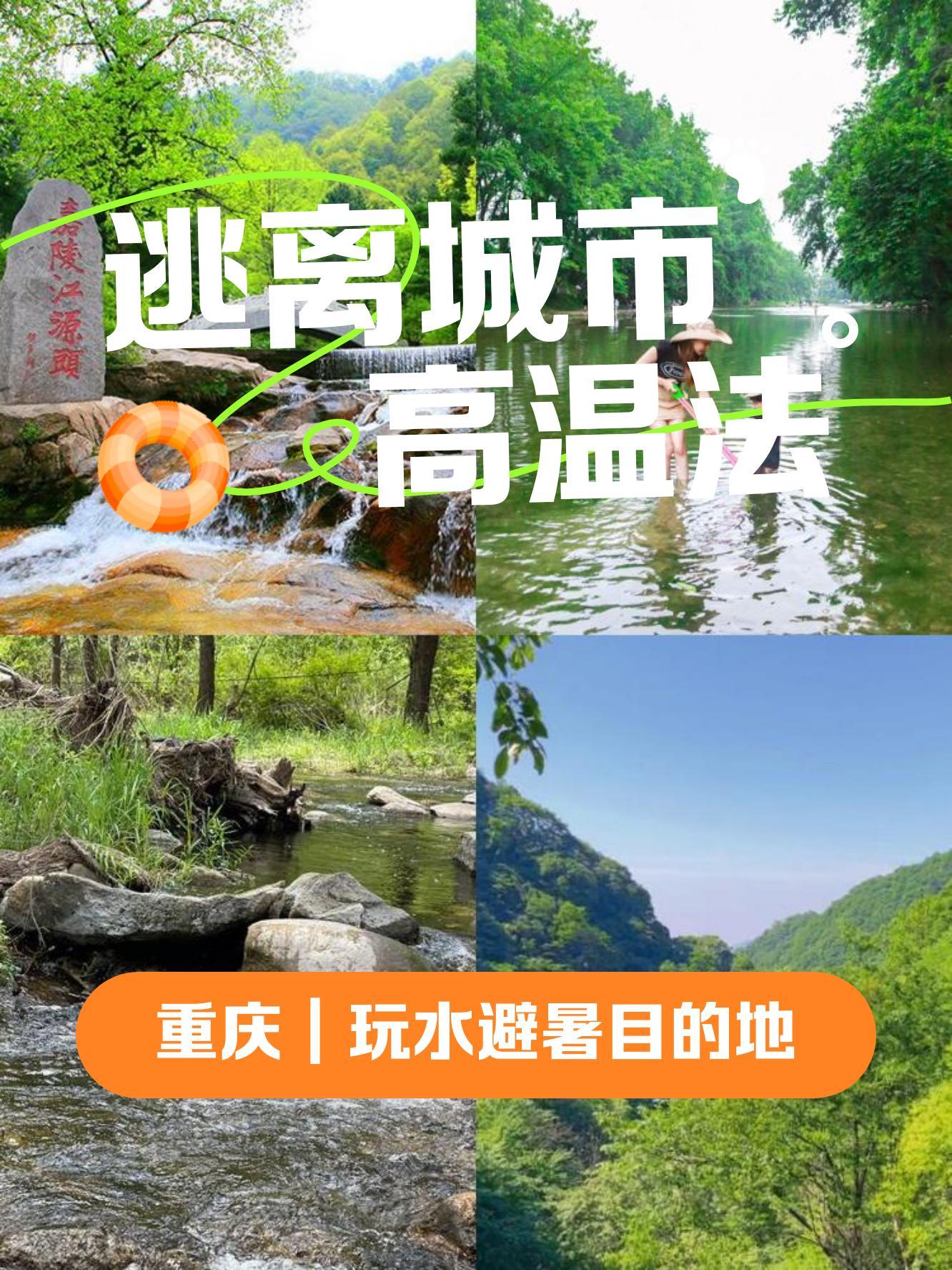 寨山坪森林公园图片