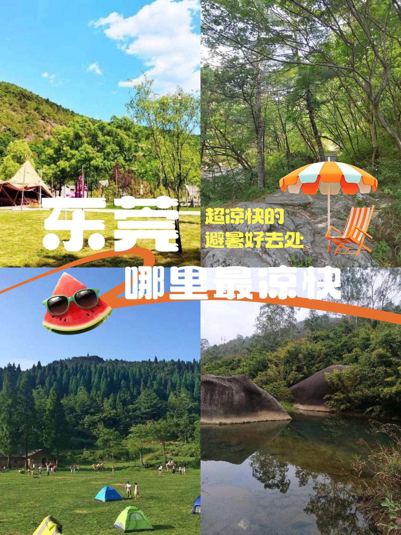 大屏嶂森林公园电话图片