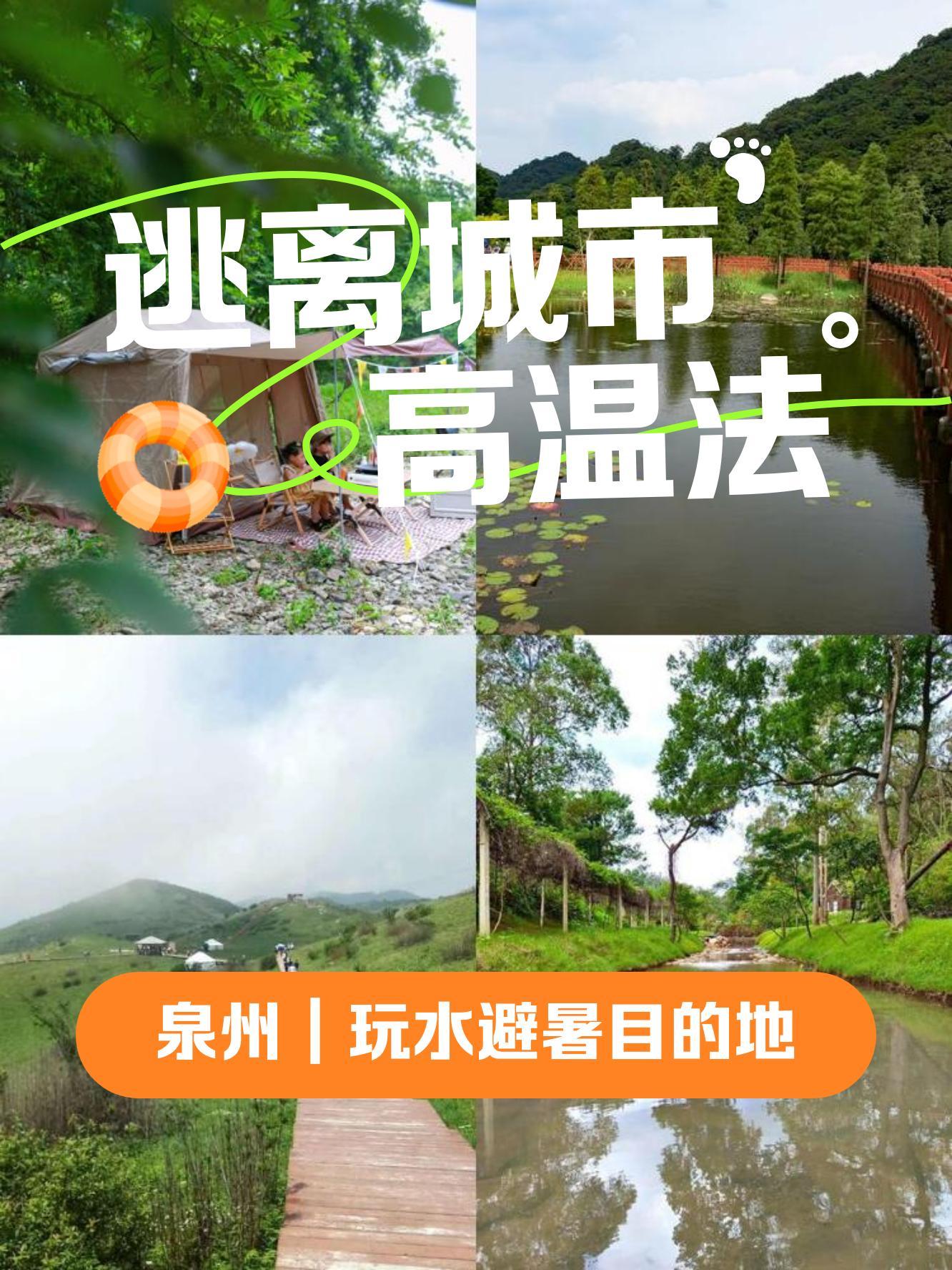 惠安聚龙山森林公园图片