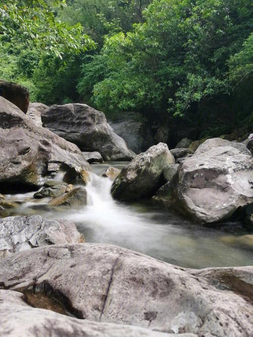 野草河湿地风景区图片