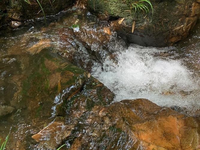 扬州铜山森林公园图片