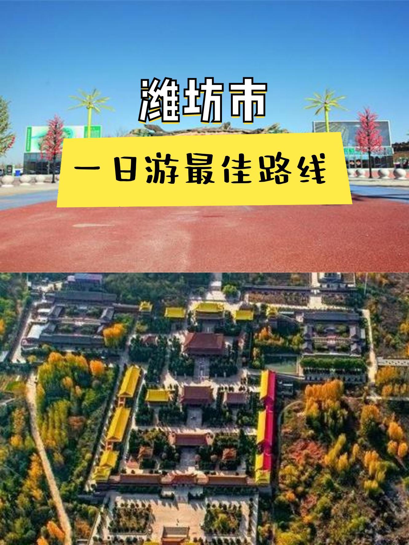 上午去: 诸城市动物园 