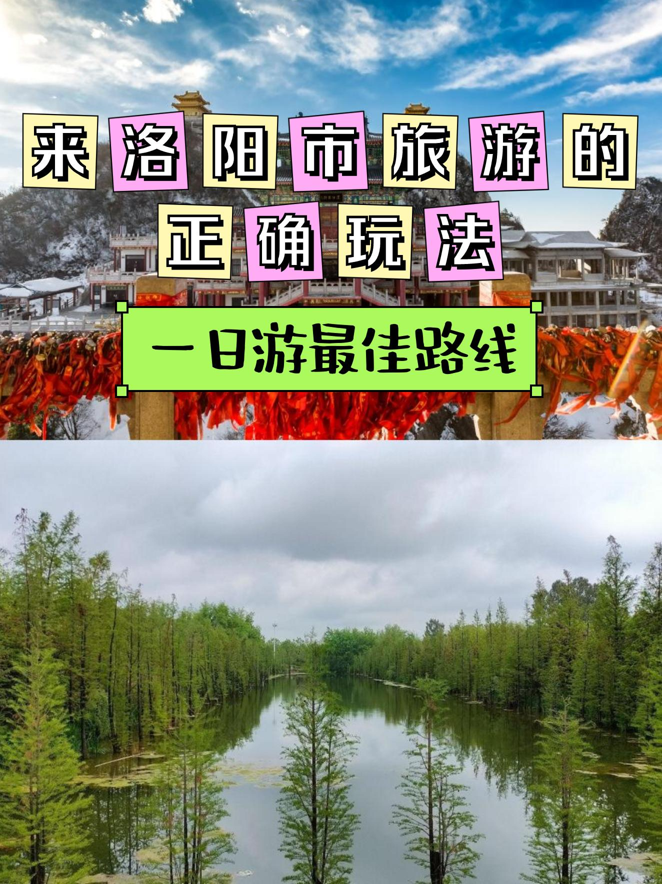 洛阳伊河湿地公园门票图片