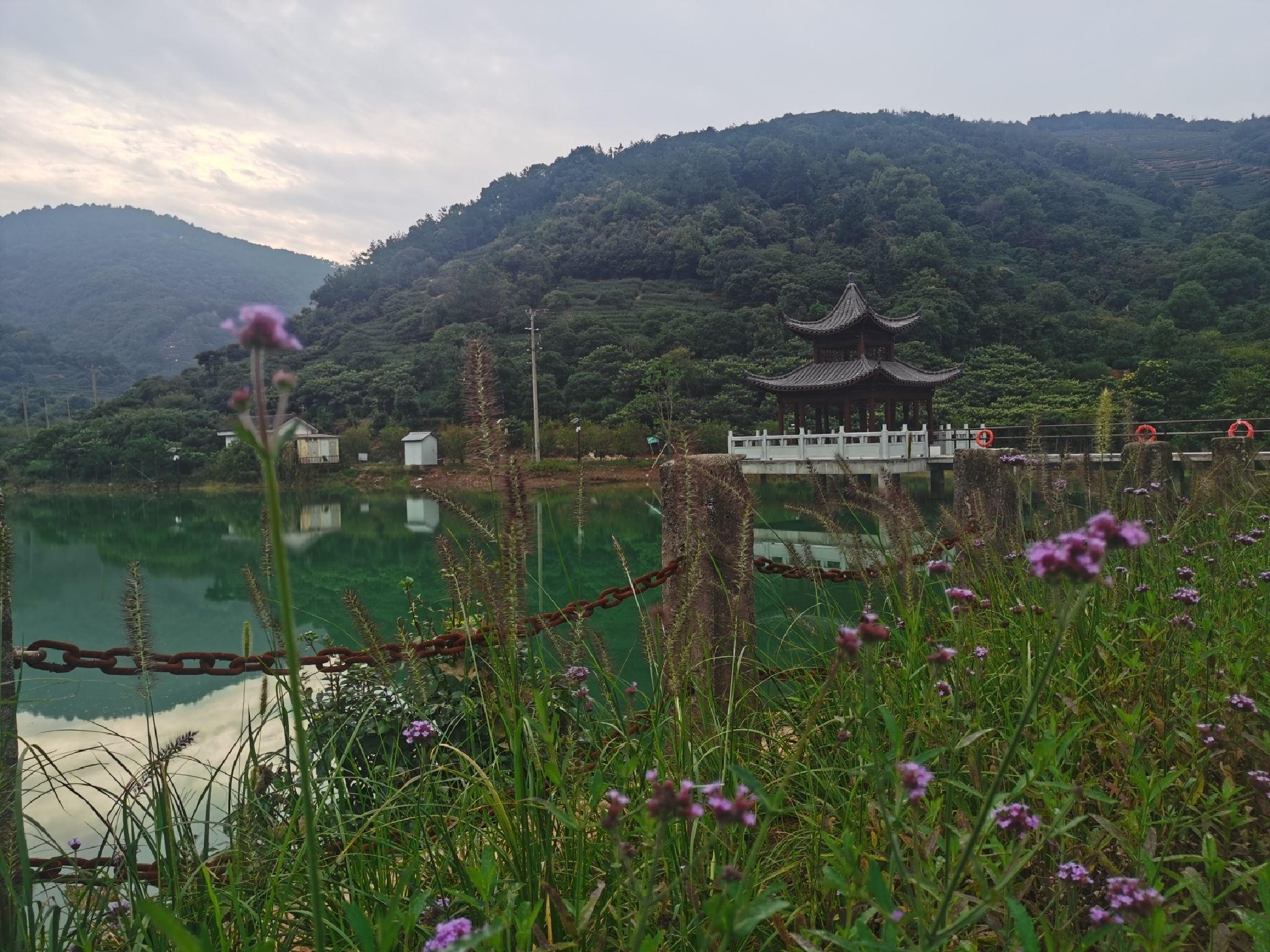 位于苏州的西山风景区森林公园