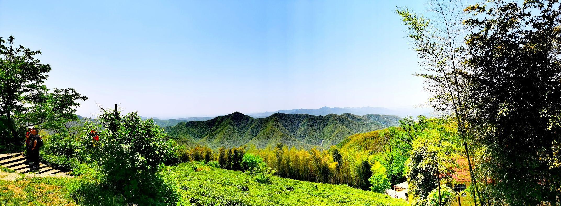 太华山省级森林公园图片