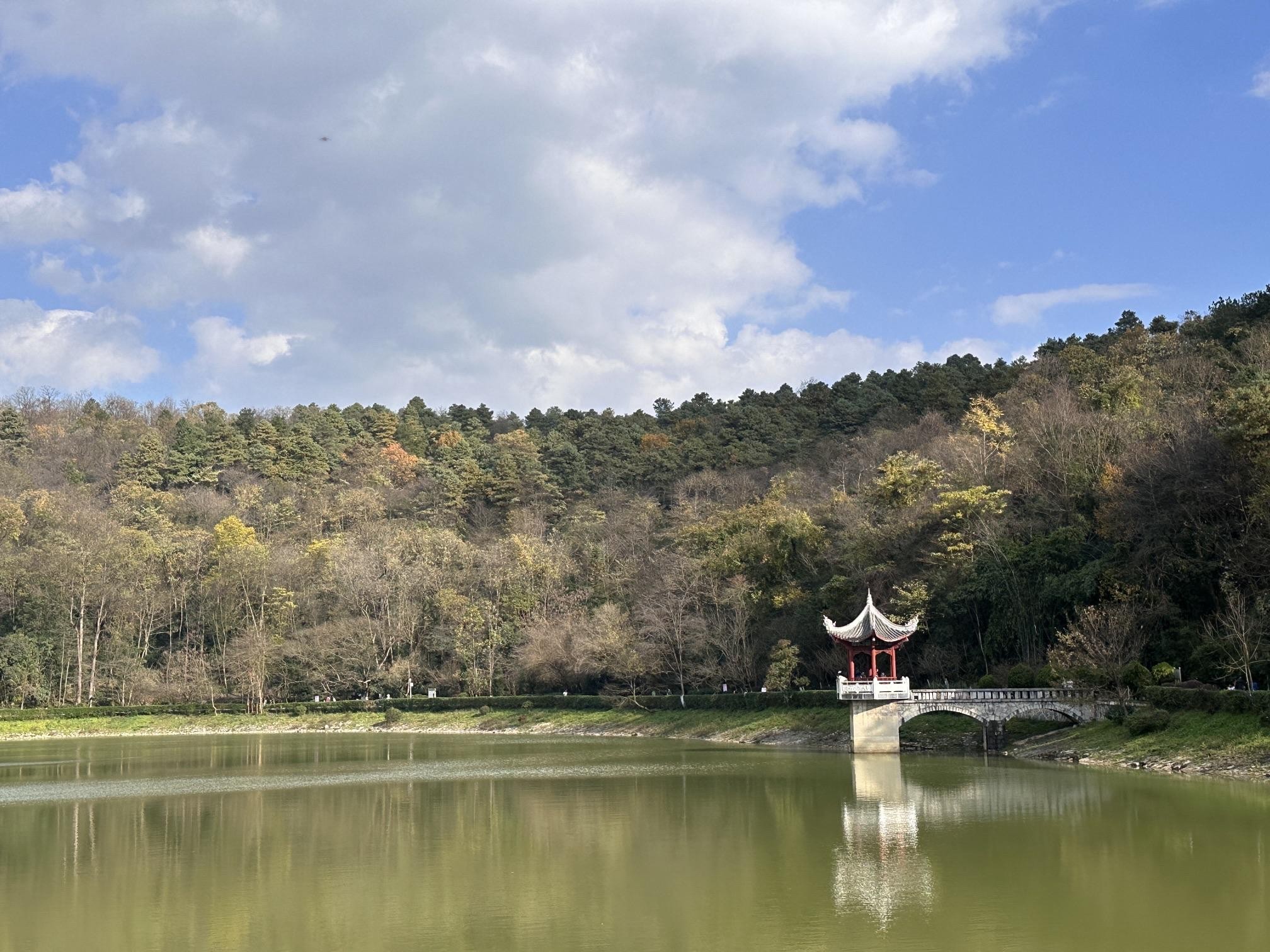 长坡岭森林公园图片