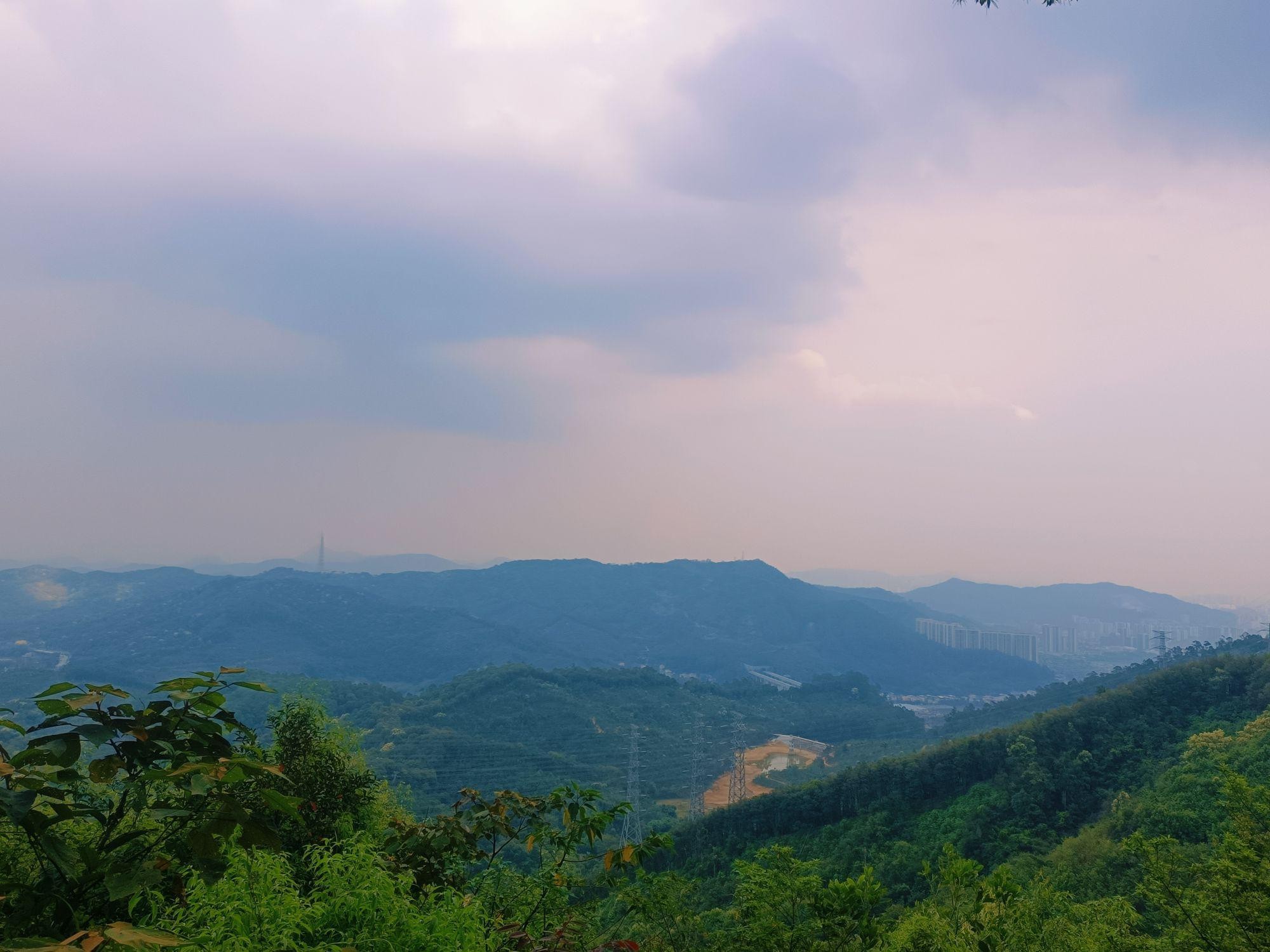 天河区凤凰山森林公园图片