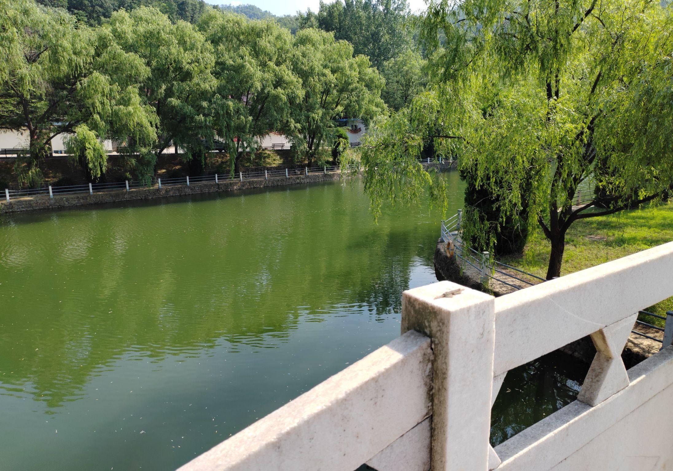 曹老集三岔河湿地公园图片