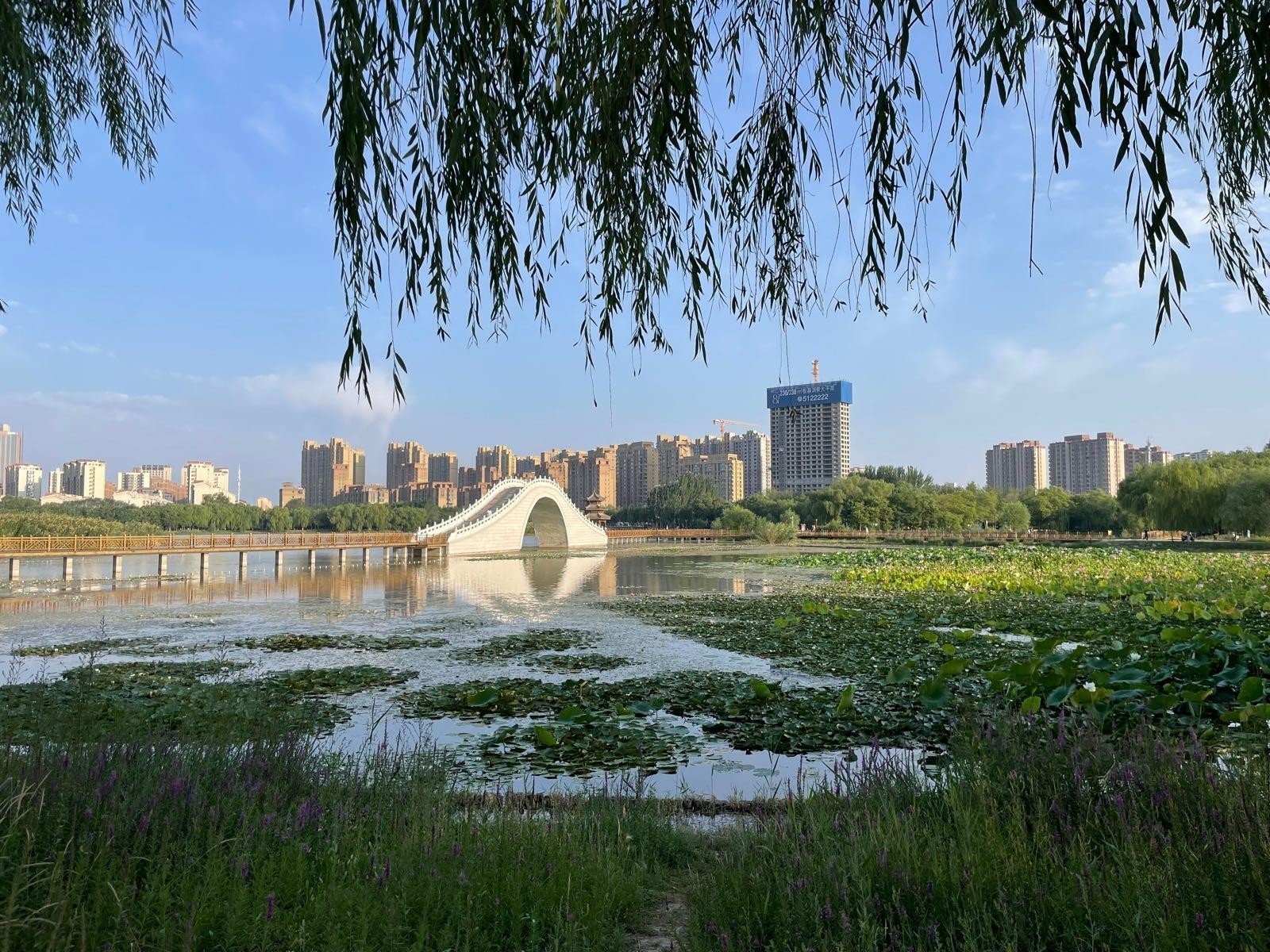 银川市内免费旅游景点图片