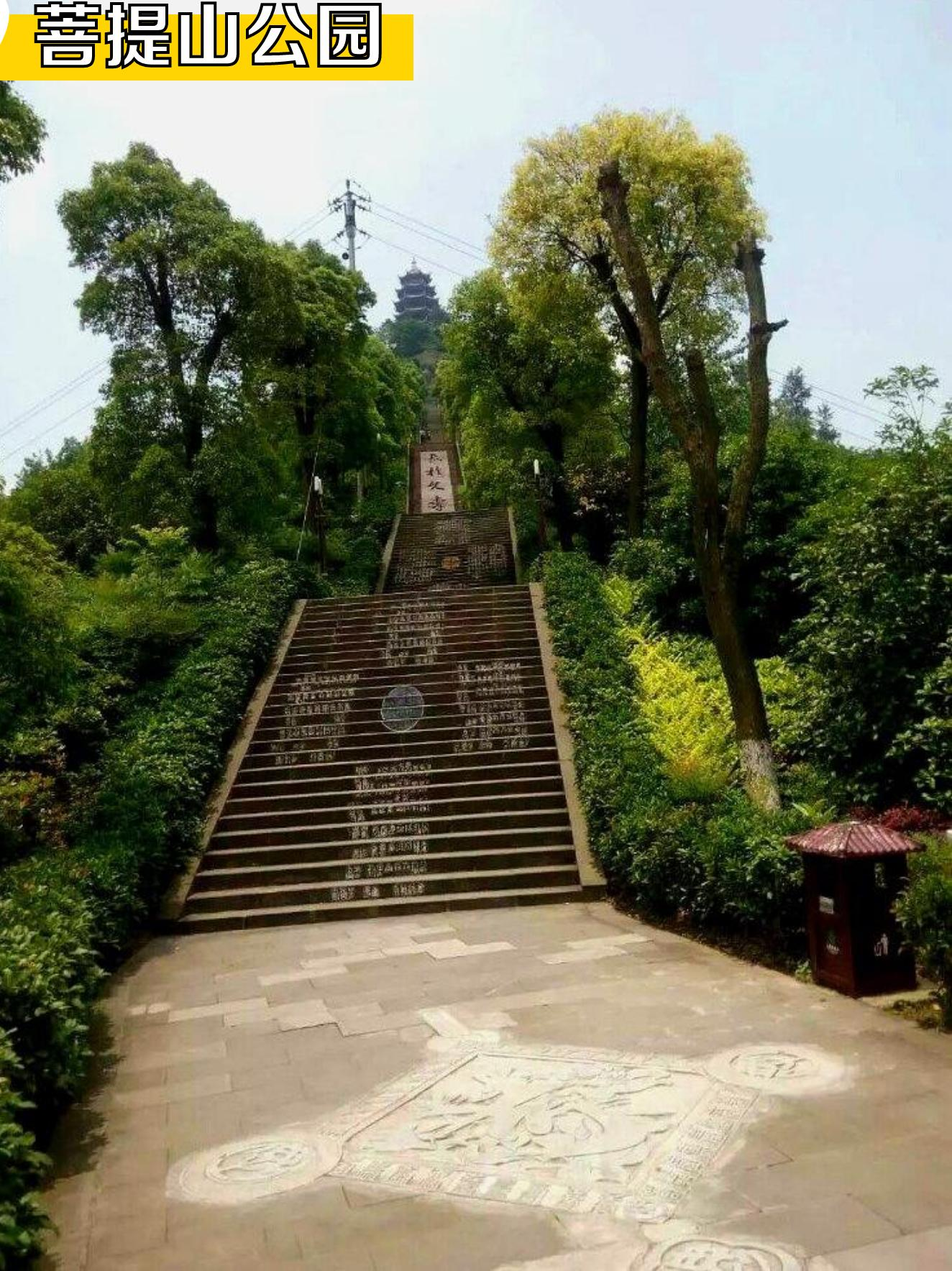 乐山周边一日游景点图片