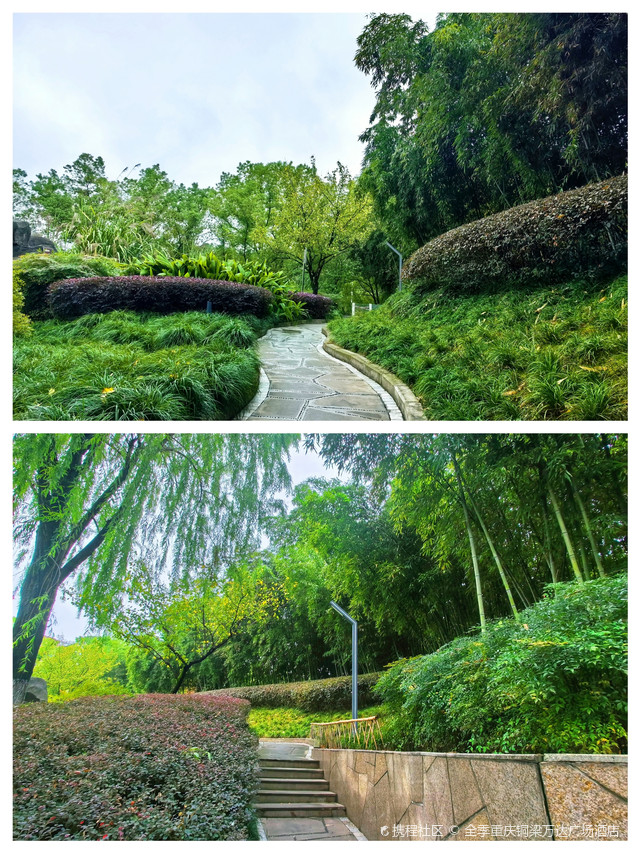 玉泉公园
