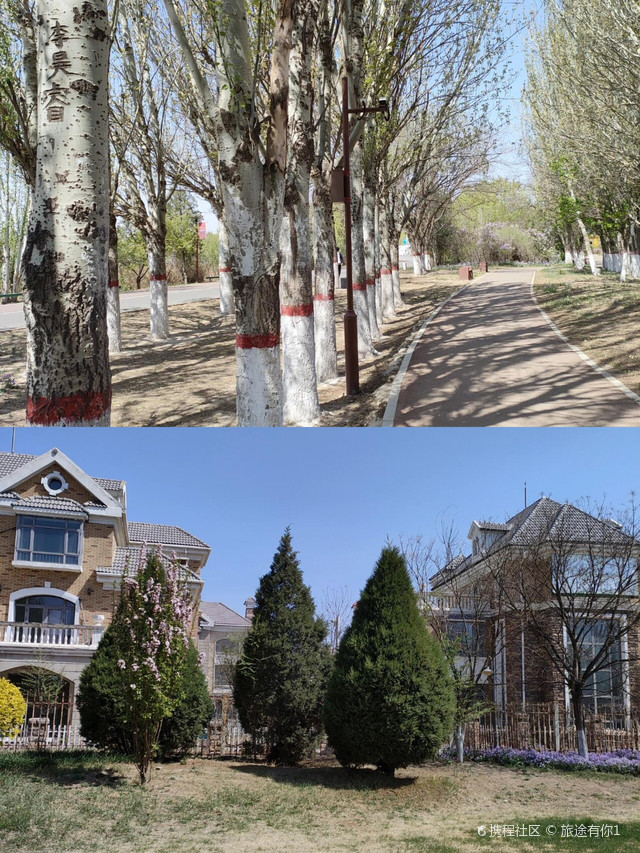 源林西江湿地公园