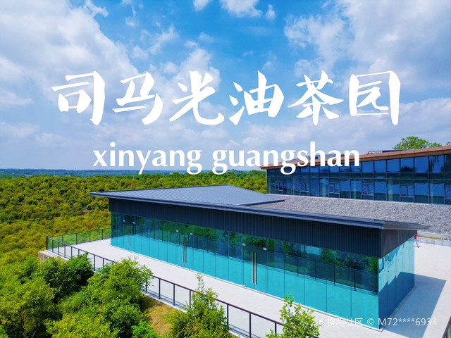 司马光油茶园