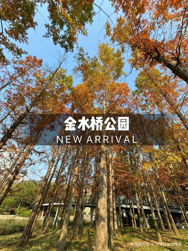 金水桥公园