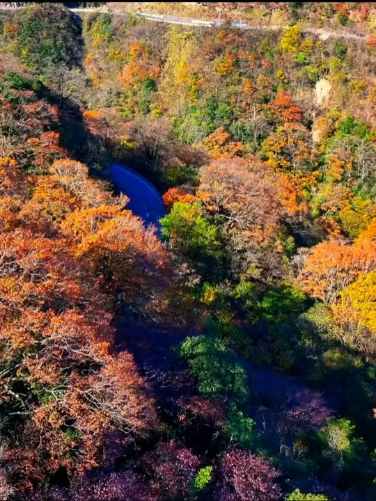 雷公山