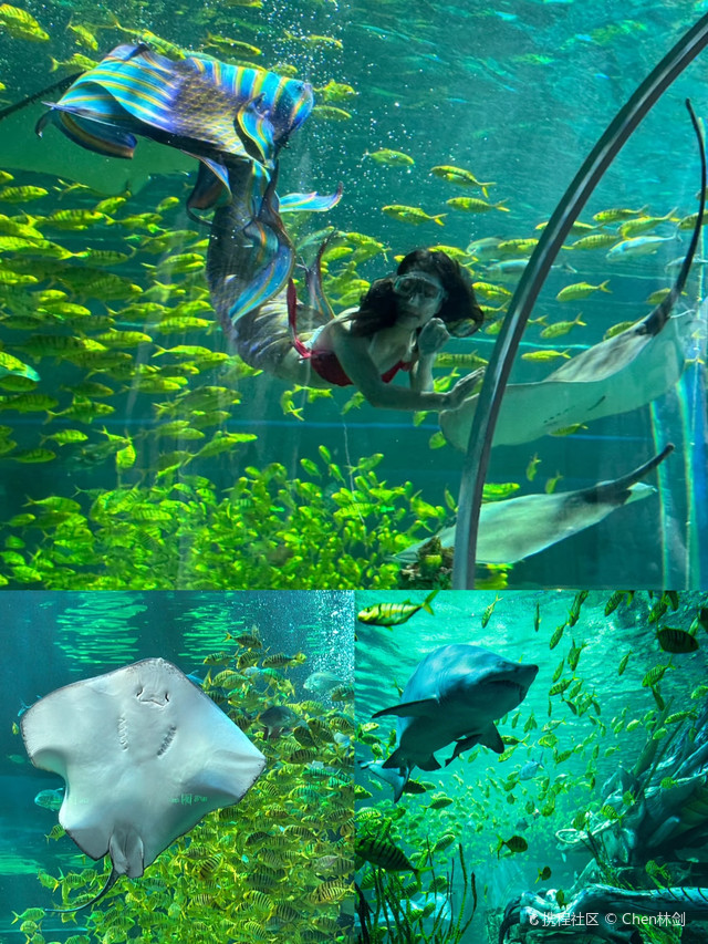 厦门国家级海洋公园
