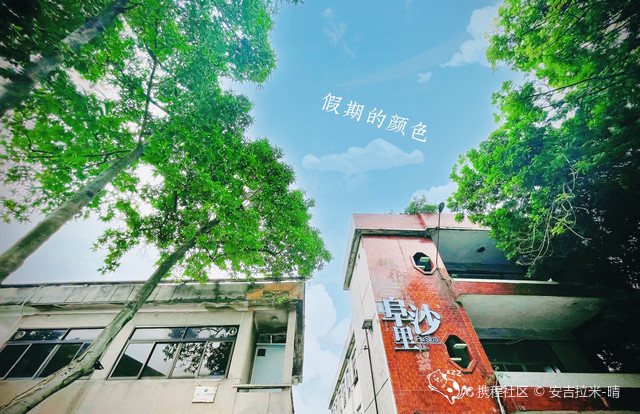 阜沙镇