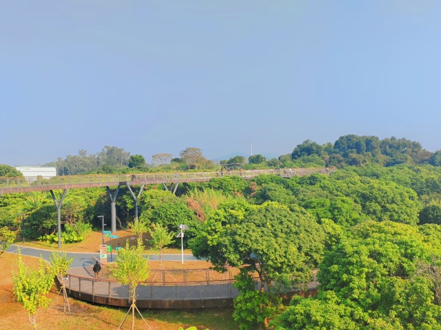 横岗水库