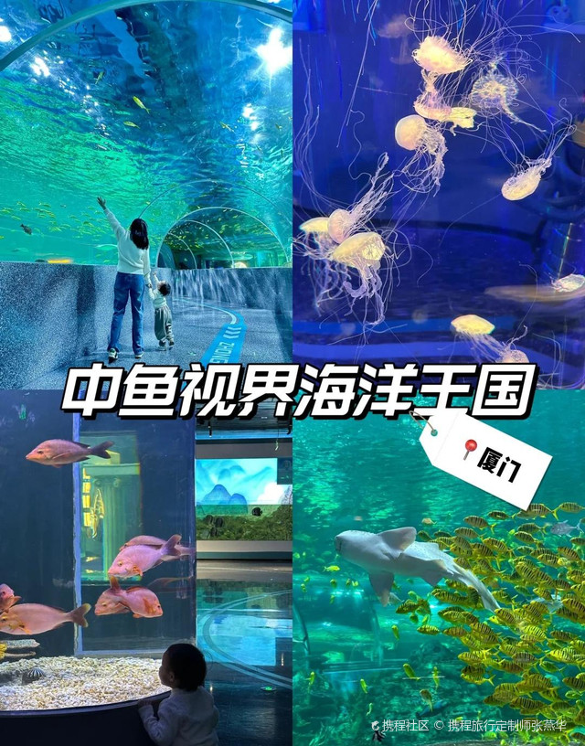 中鱼视界海洋王国(厦门海上世界购物中心店)