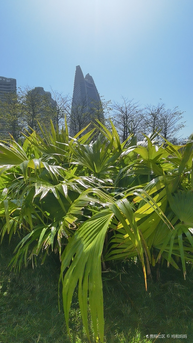 海棠河生态公园