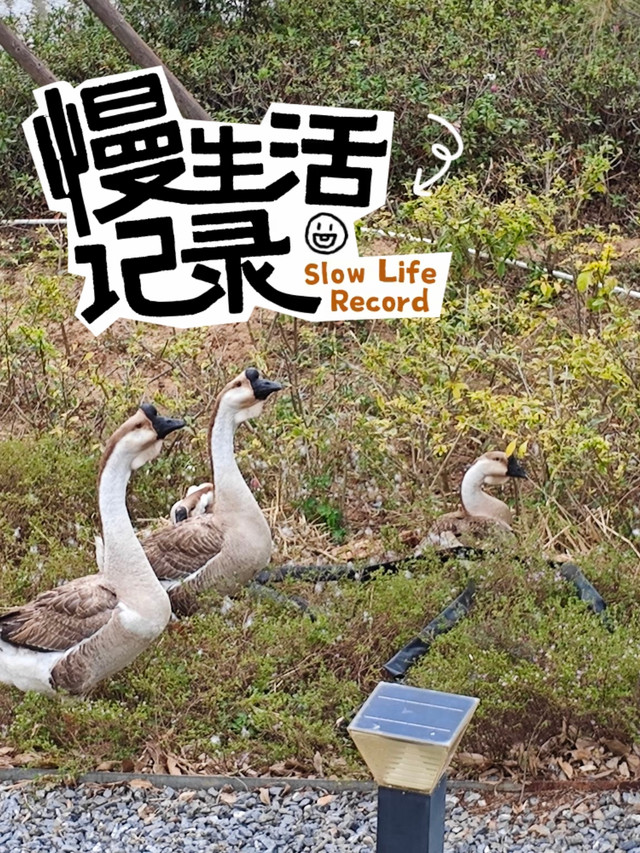 八闽园