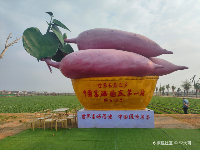 桥头地瓜休闲村