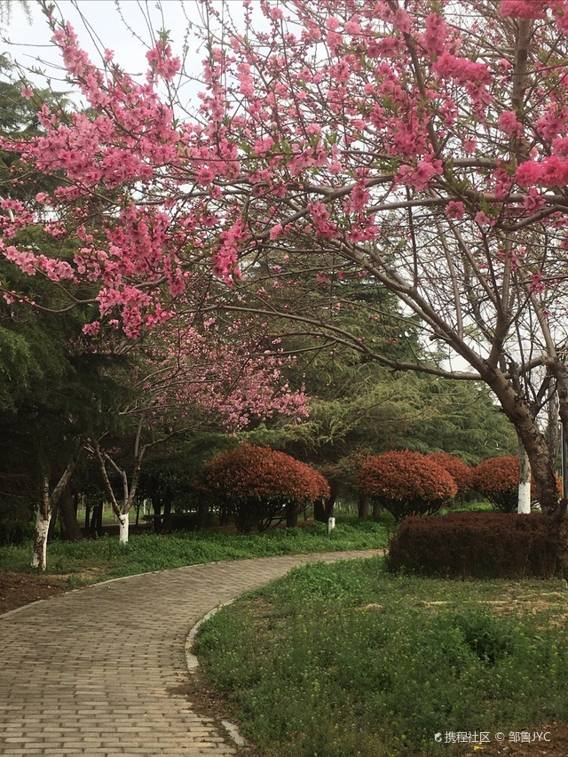 唐王河公园