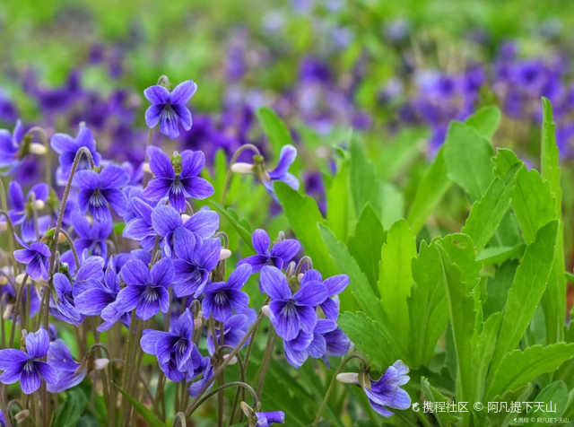 庐江独山旅游景区