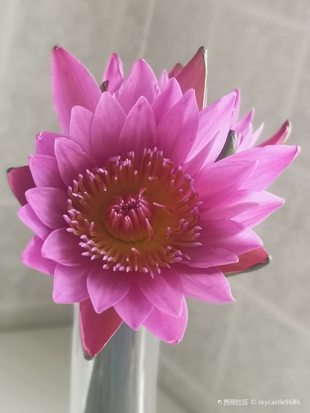 天宝镇