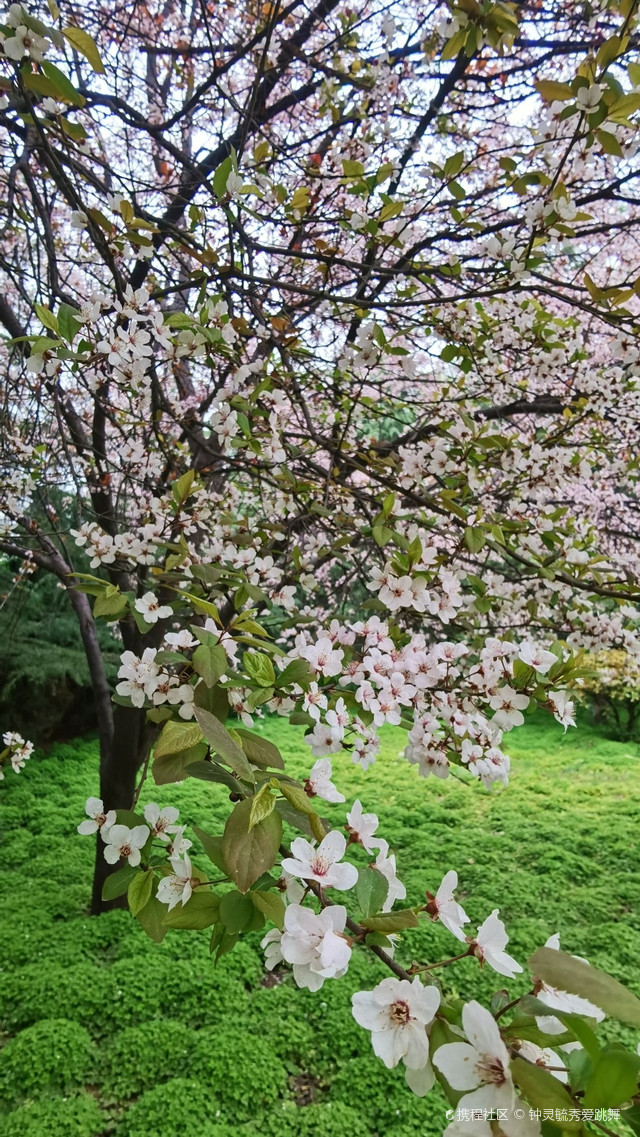 铜川新区