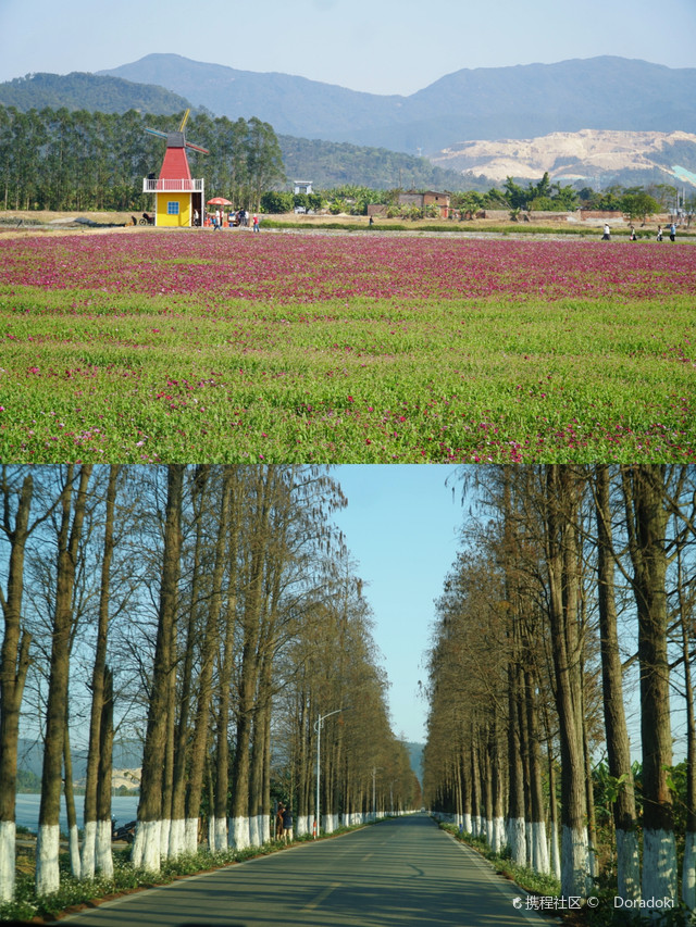 上洲村