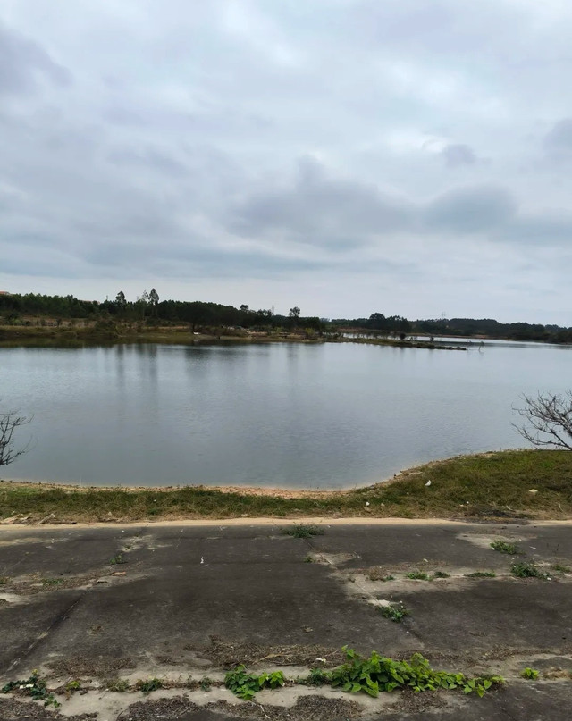 东海岛千亩生态公园