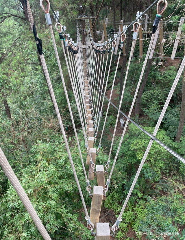 丛林精灵探险乐园